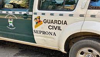 Puestas a disposición judicial 22 personas en Alicante por delito contra la ordenación del territorio