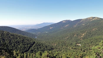 A juicio por delito contra la ordenación del territorio por construir un hotel en suelo protegido en Cercedilla (Madrid)