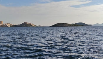 Acusada de delito contra la ordenación del territorio una empresa dedicada a la cría de aves en cautiverio en la Isla del Barón