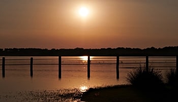 dONANA-min-1 Delito contra la Ordenación del Territorio