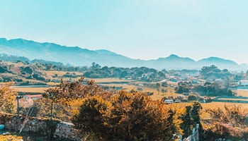autorización de entrada a domicilio