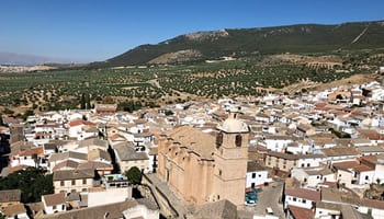 Ejecutada subsidiariamente la demolición de una vivienda en Moraleda de Zafayona (Granada)