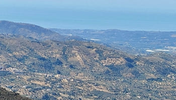 En busca y captura por delito contra la flora y la fauna el culpable de la muerte de 15 buitres en Zafarraya (Granada)